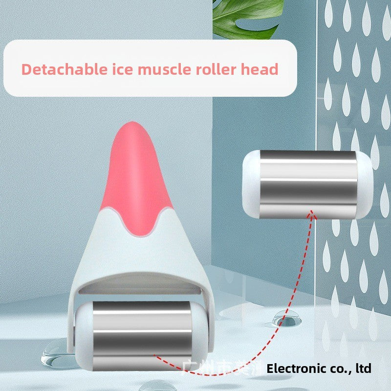 Body Skin Massager